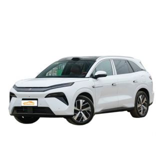 BYD TANG L DM-I