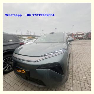BYD TANG L